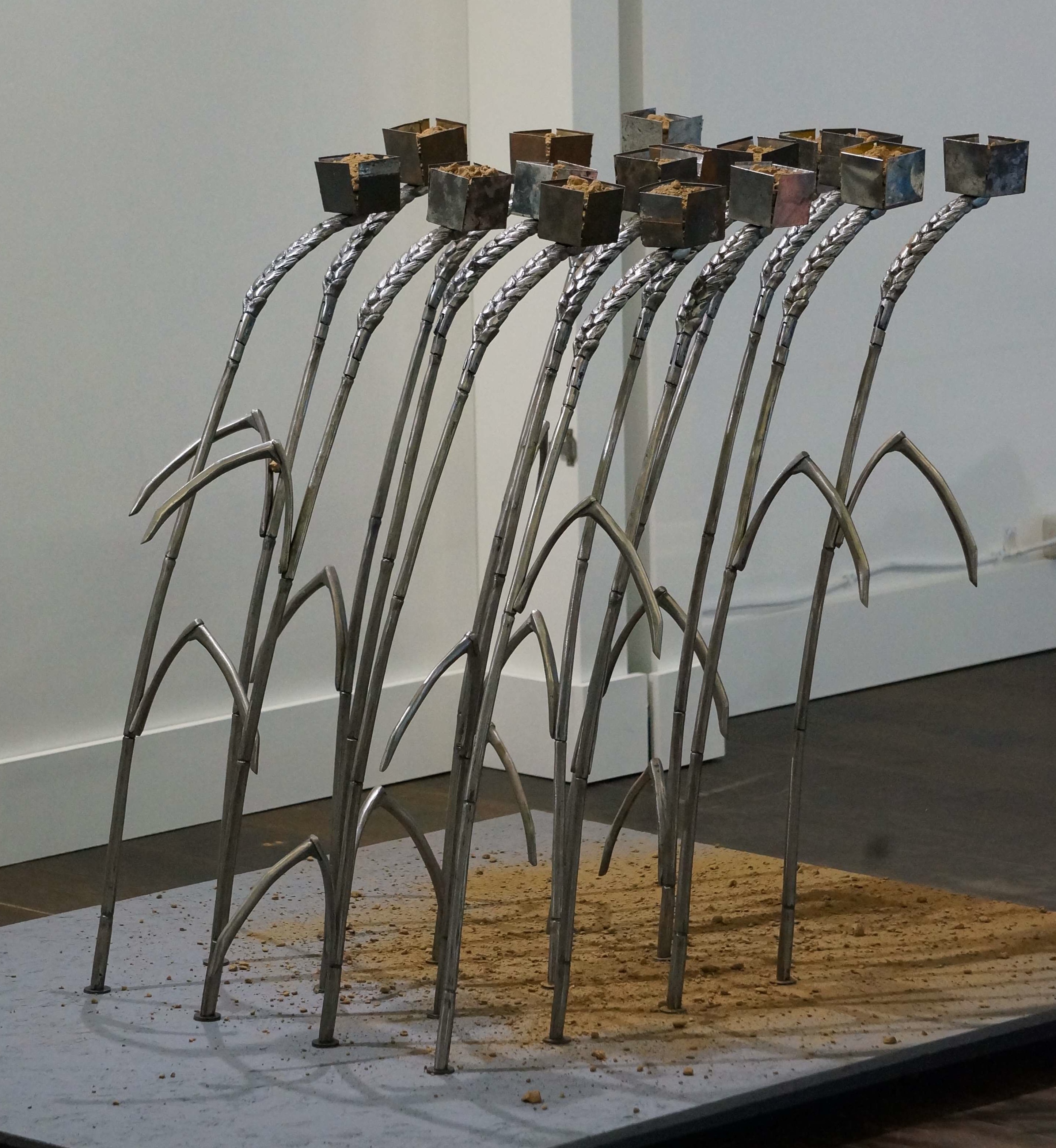 BoG Standard 2015 by Elizabeth Turner