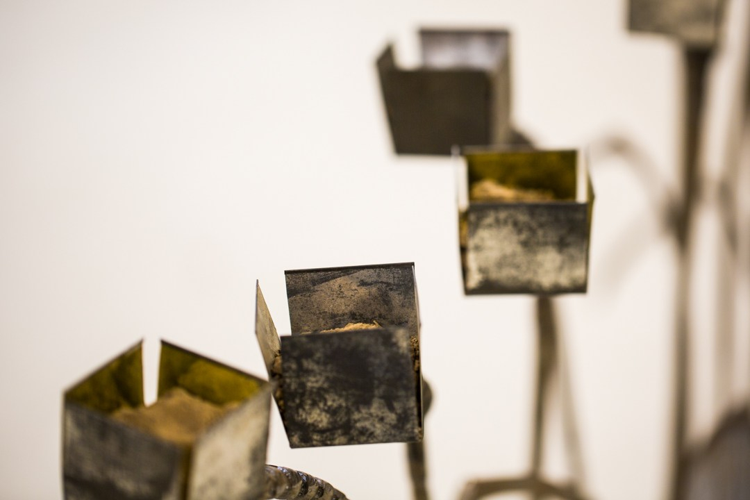 BoG Standard (detail)